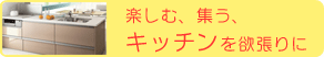 楽しむ、集う、キッチンを欲張りに