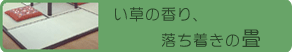 い草の香り、落ち着きの畳